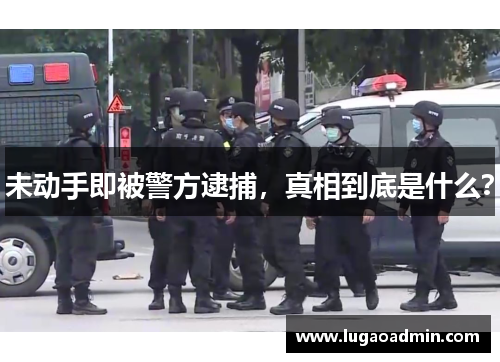 未动手即被警方逮捕，真相到底是什么？